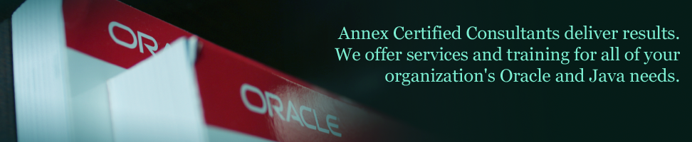 Annex Certified Consultants deliver results. We offer services and training for all of your organization's Oracle and Java needs.